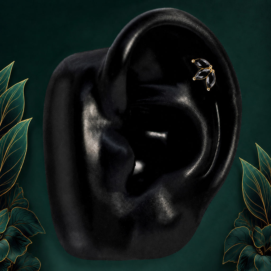 Bloom - Helix/Conch - Black