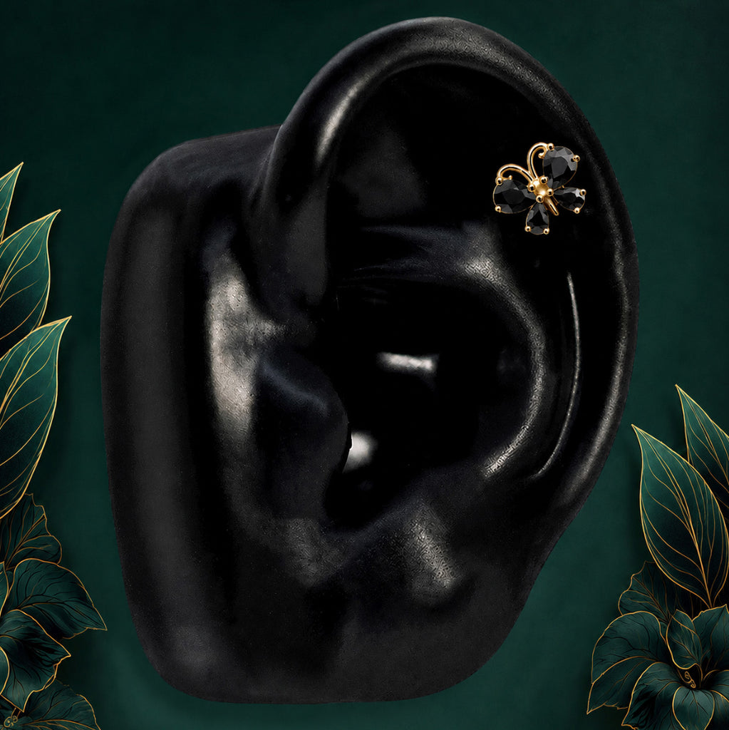 Metamorphosis - Helix/Conch - Black